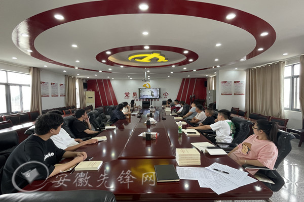 巢湖市栏杆集镇：“3×3”模式 让干部教育培训“提味增鲜”