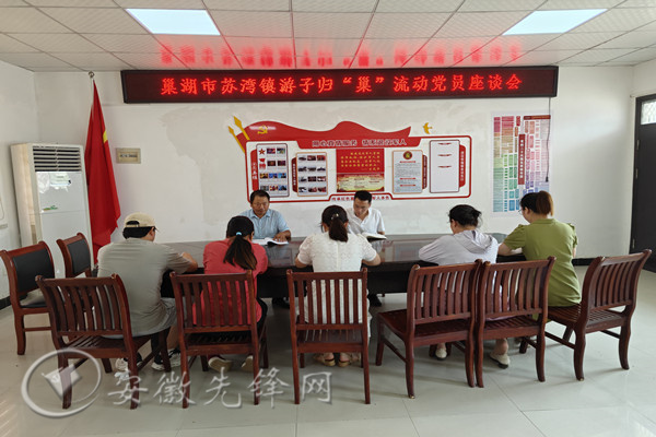 巢湖市：“链式管培” 让流动党员成为“流动的旗帜”